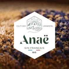 Anaë