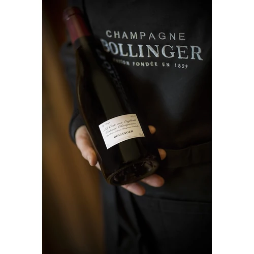 Bollinger-La-Cote-aux-Enfants-Pinot-Noir-2016-Sommelier