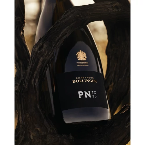 BOLLINGER PN TX 20
