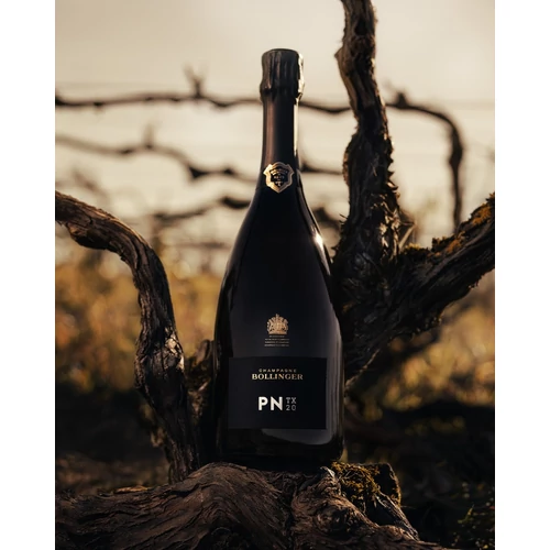 BOLLINGER PN TX 20