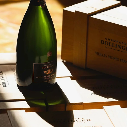 bollinger-vvf-life-style