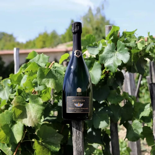 bollinger-vvf-vineyard