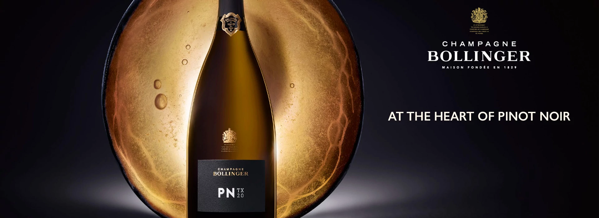 Bollinger PN TX20